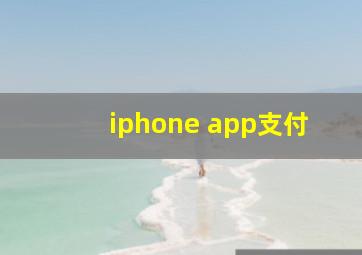 iphone app支付